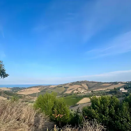 Roseto In Collina Cologna (Teramo)